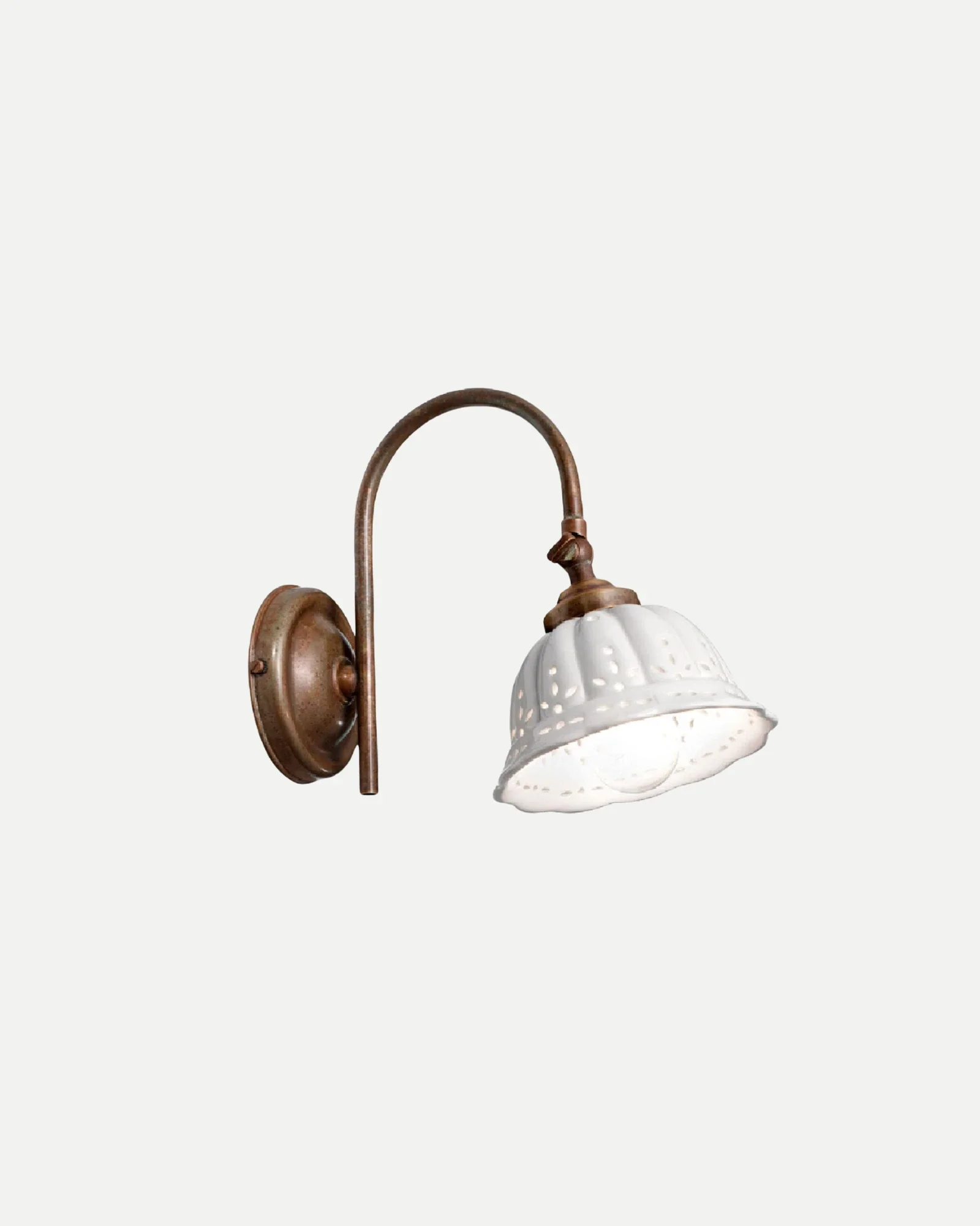 Anita Gooseneck Wall Light