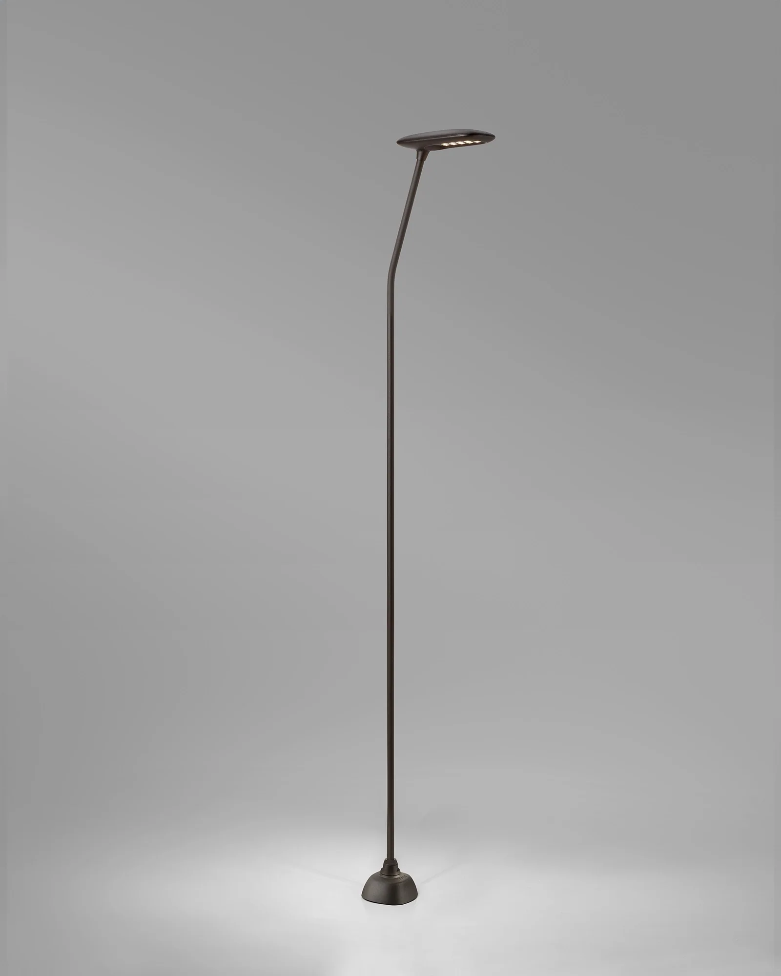 Birdie 1lt Spike Light - Image 10