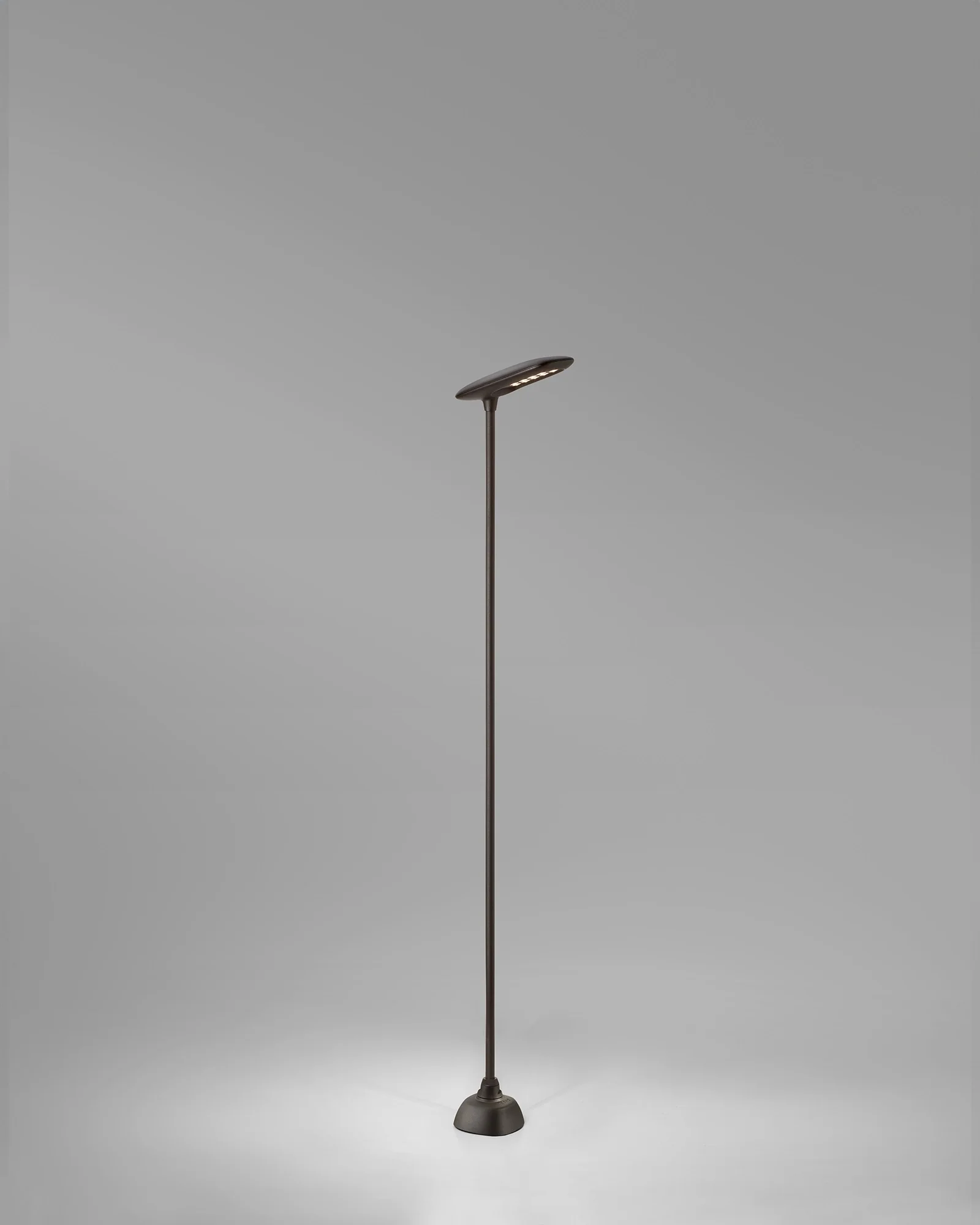 Birdie 1lt Spike Light - Image 11