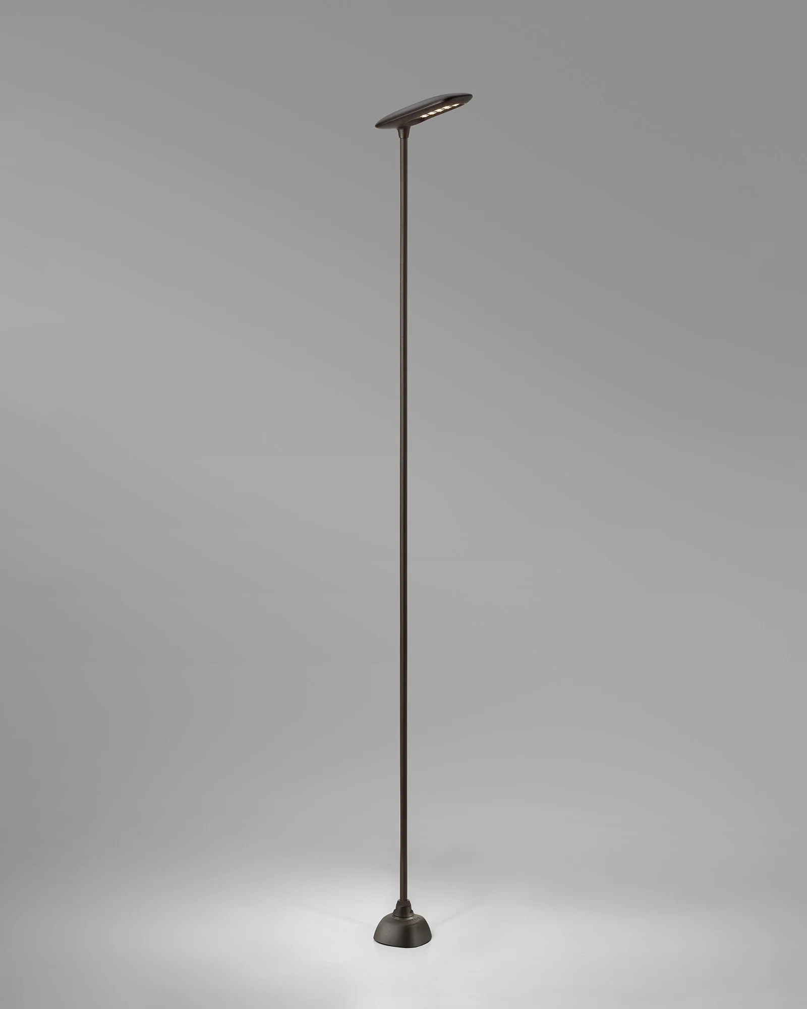 Birdie 1lt Spike Light - Image 12
