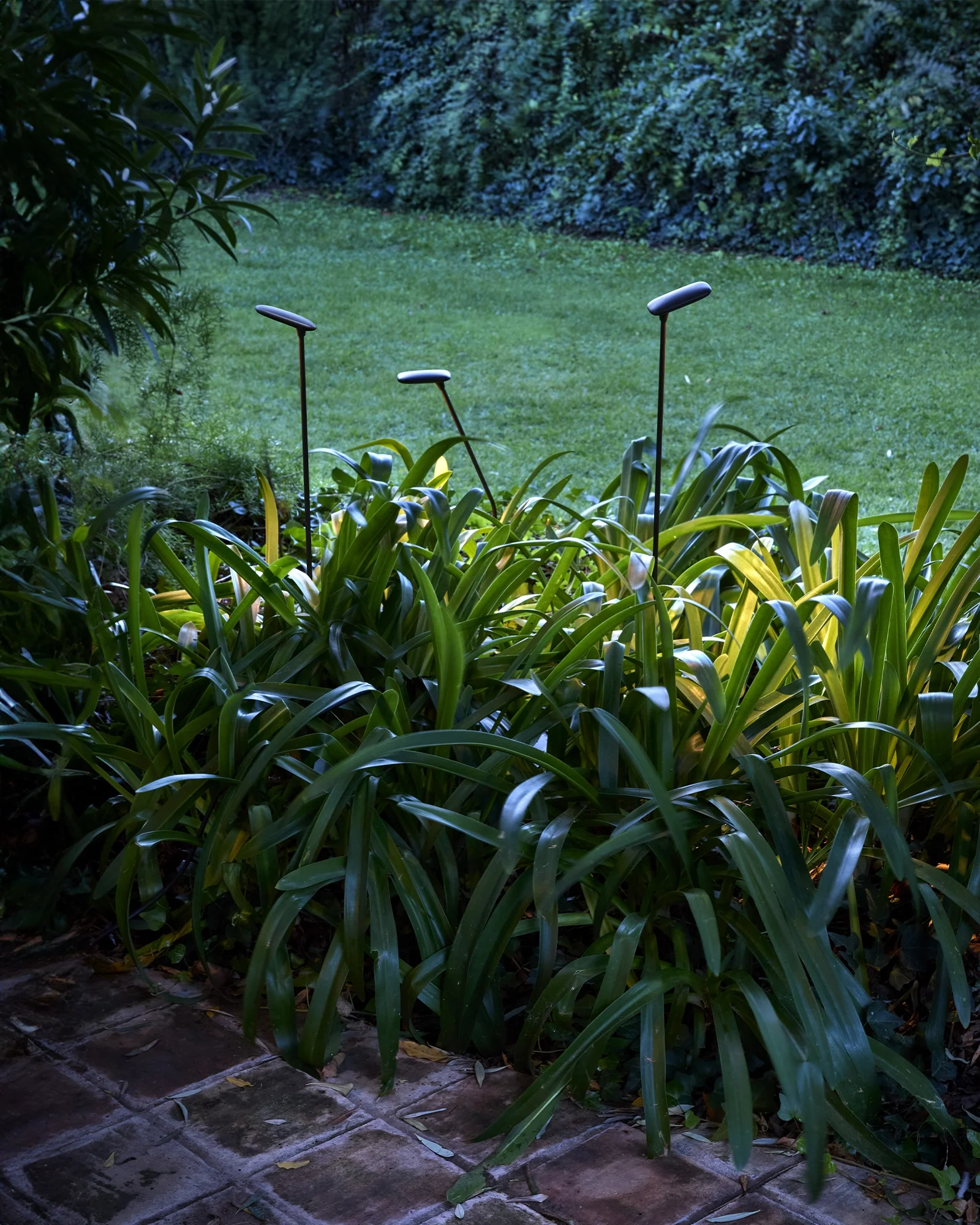 Birdie 1lt Spike Light - Image 3