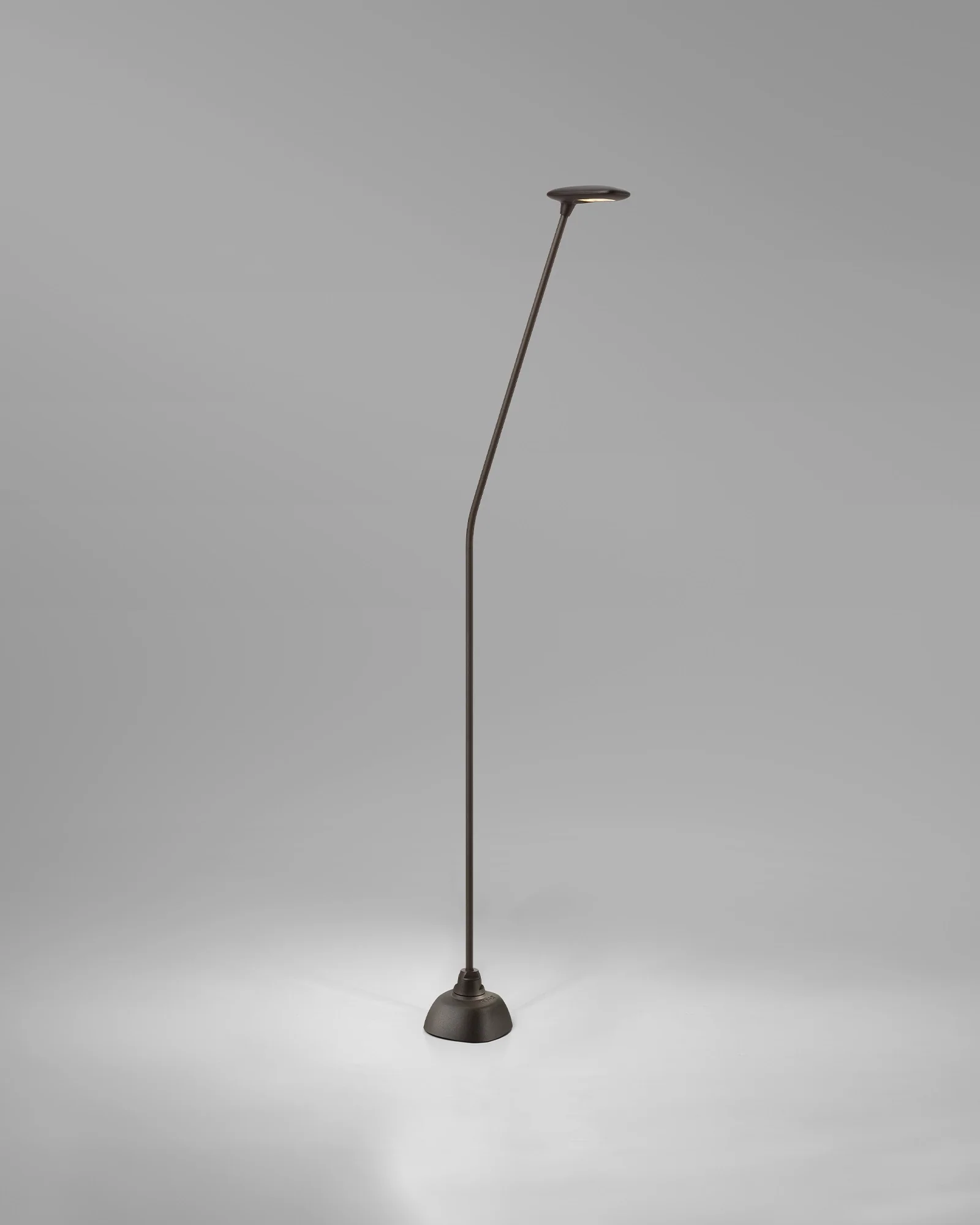 Birdie 1lt Spike Light - Image 6