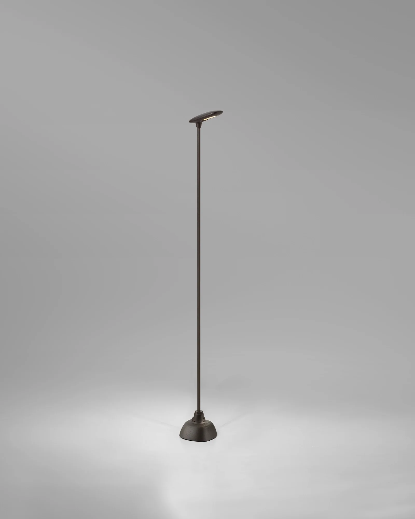 Birdie 1lt Spike Light - Image 8