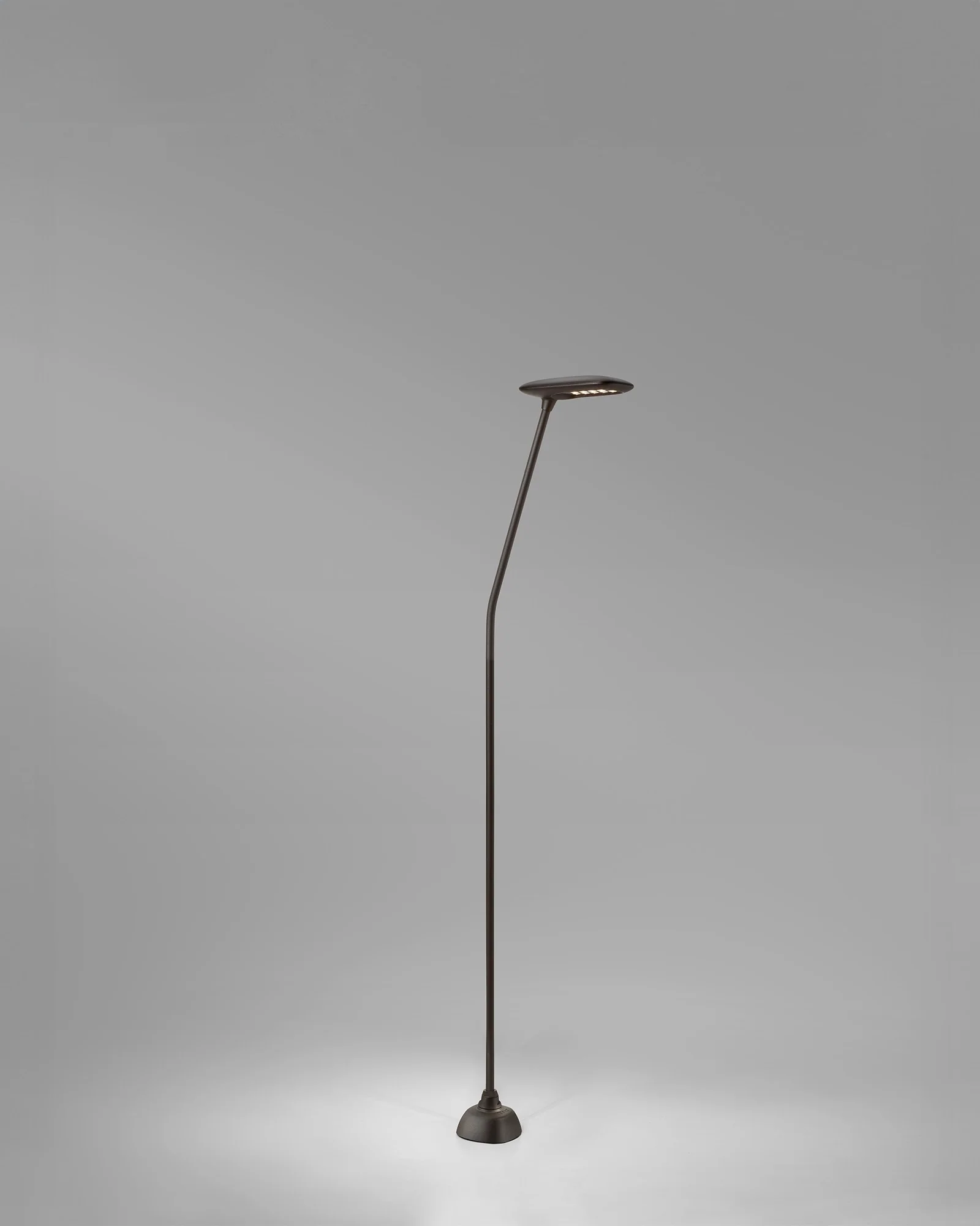 Birdie 1lt Spike Light - Image 9