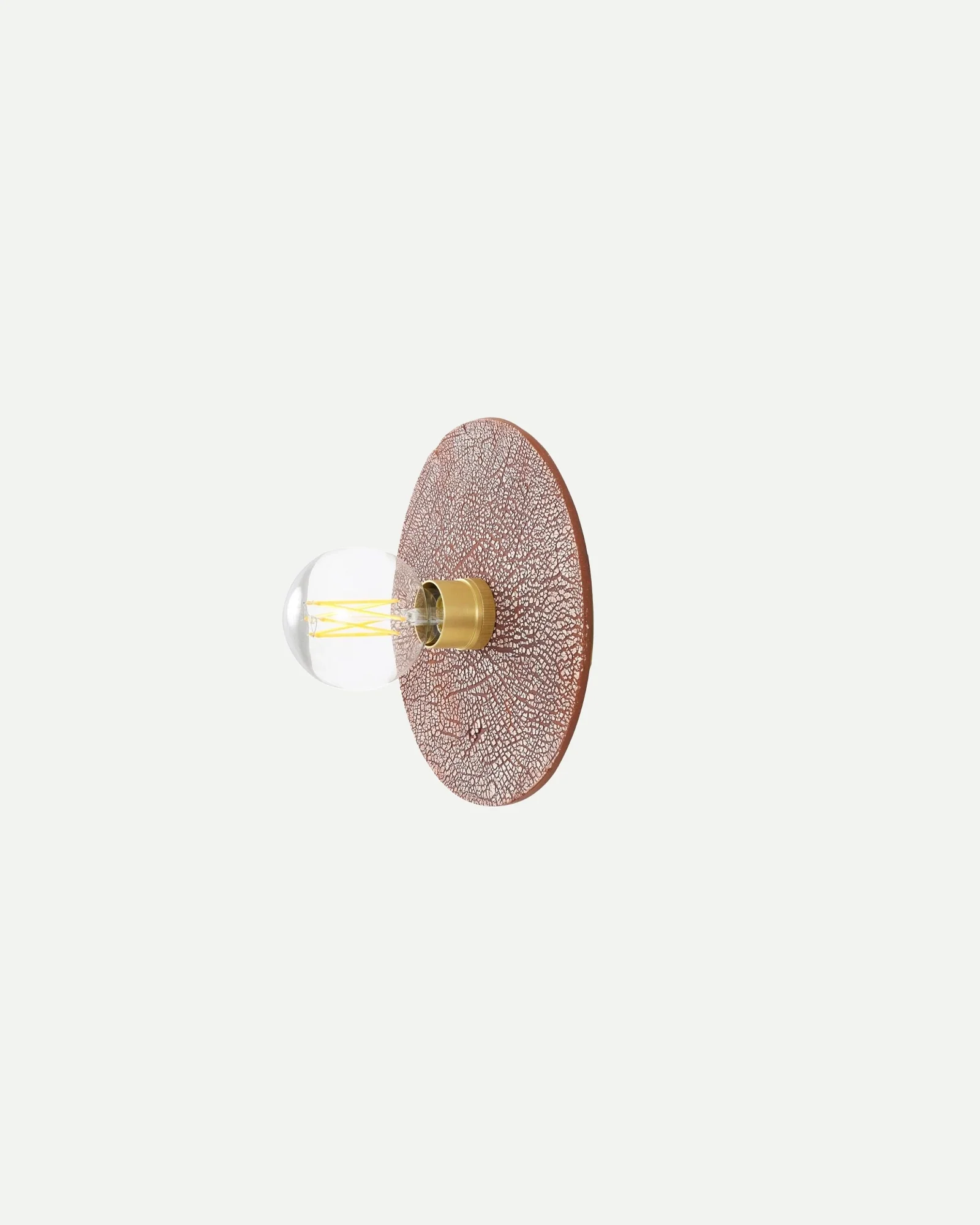 Bog Oak Wall Light - Image 8