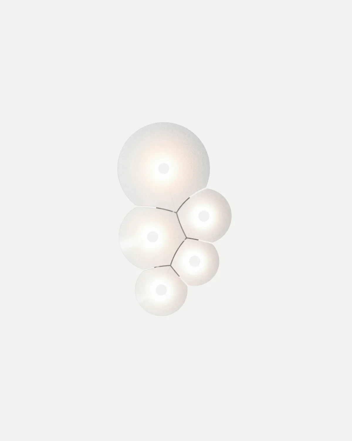 Bulbullia Wall/Ceiling Light - Image 7