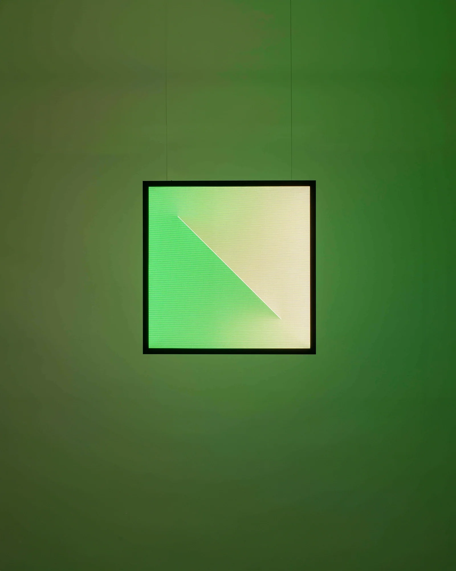 Discover Dialogue Pendant Light - Image 3