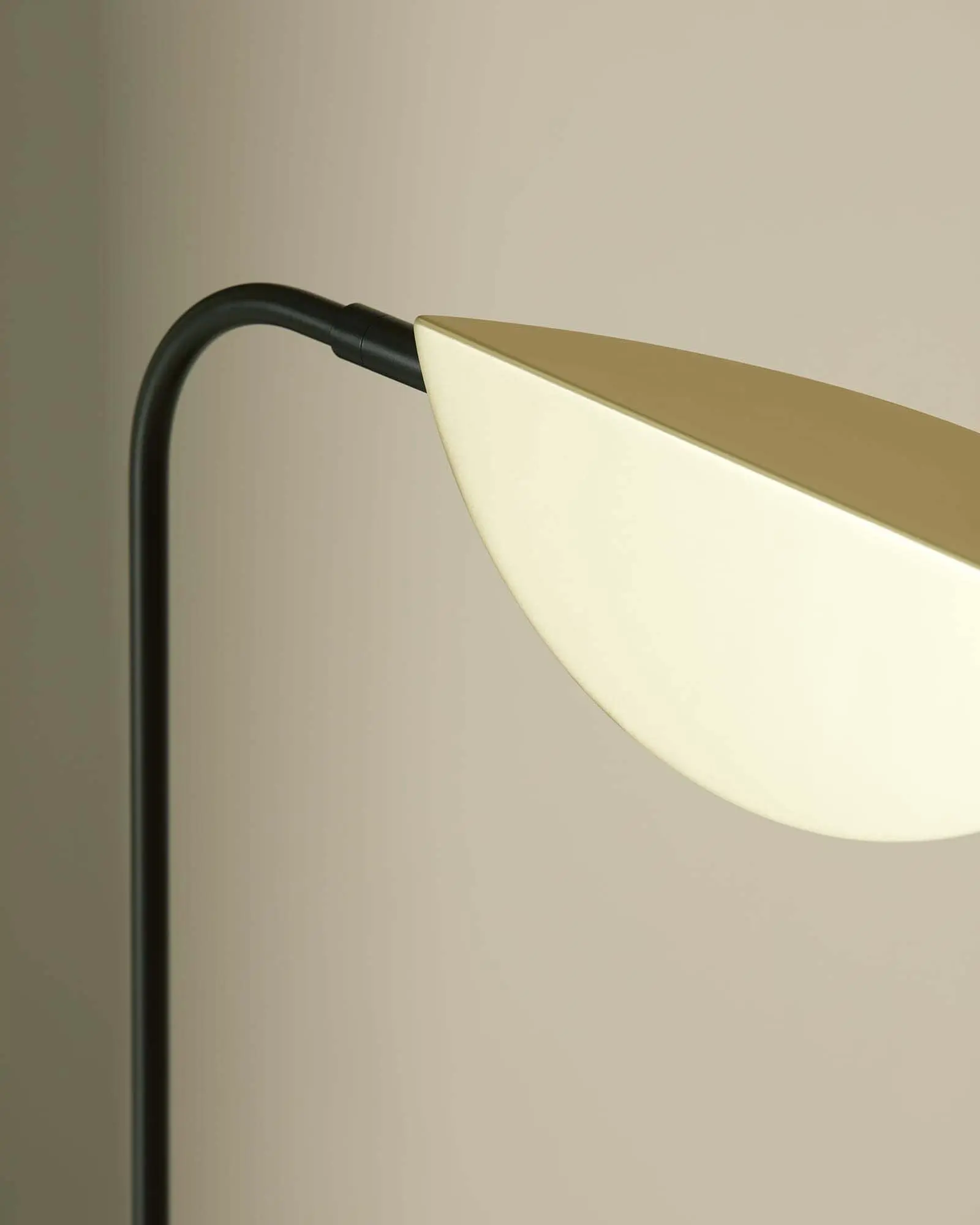 Ficus Table Lamp - Image 4