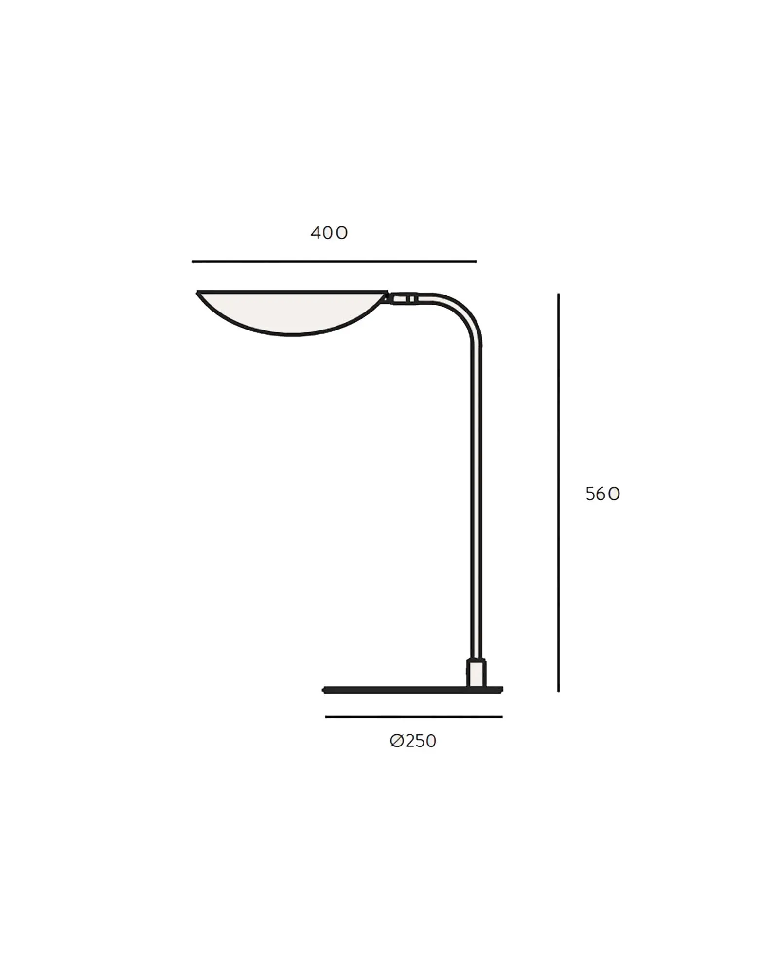 Ficus Table Lamp - Image 5