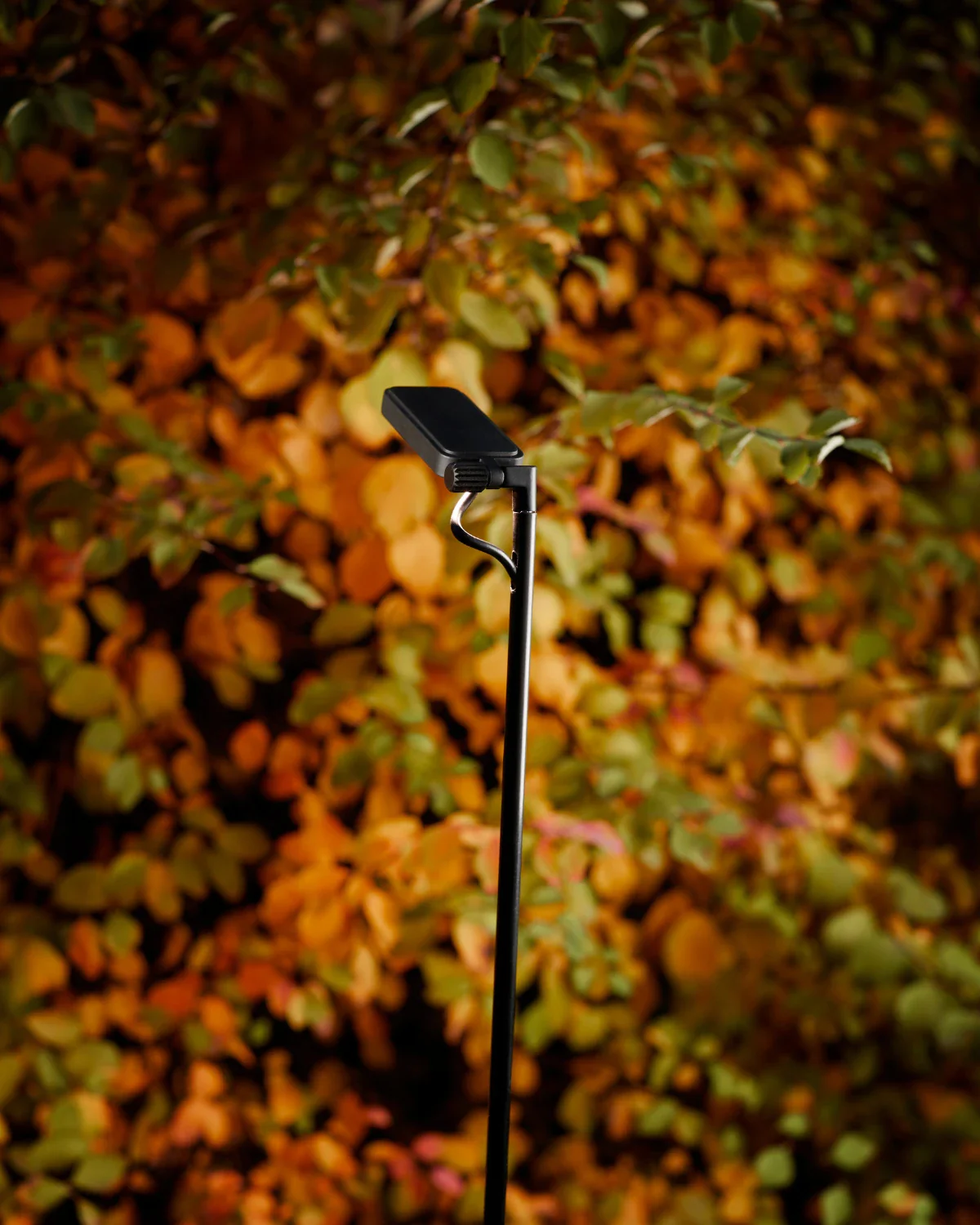 Flia Outdoor Floor Lamp - Image 3