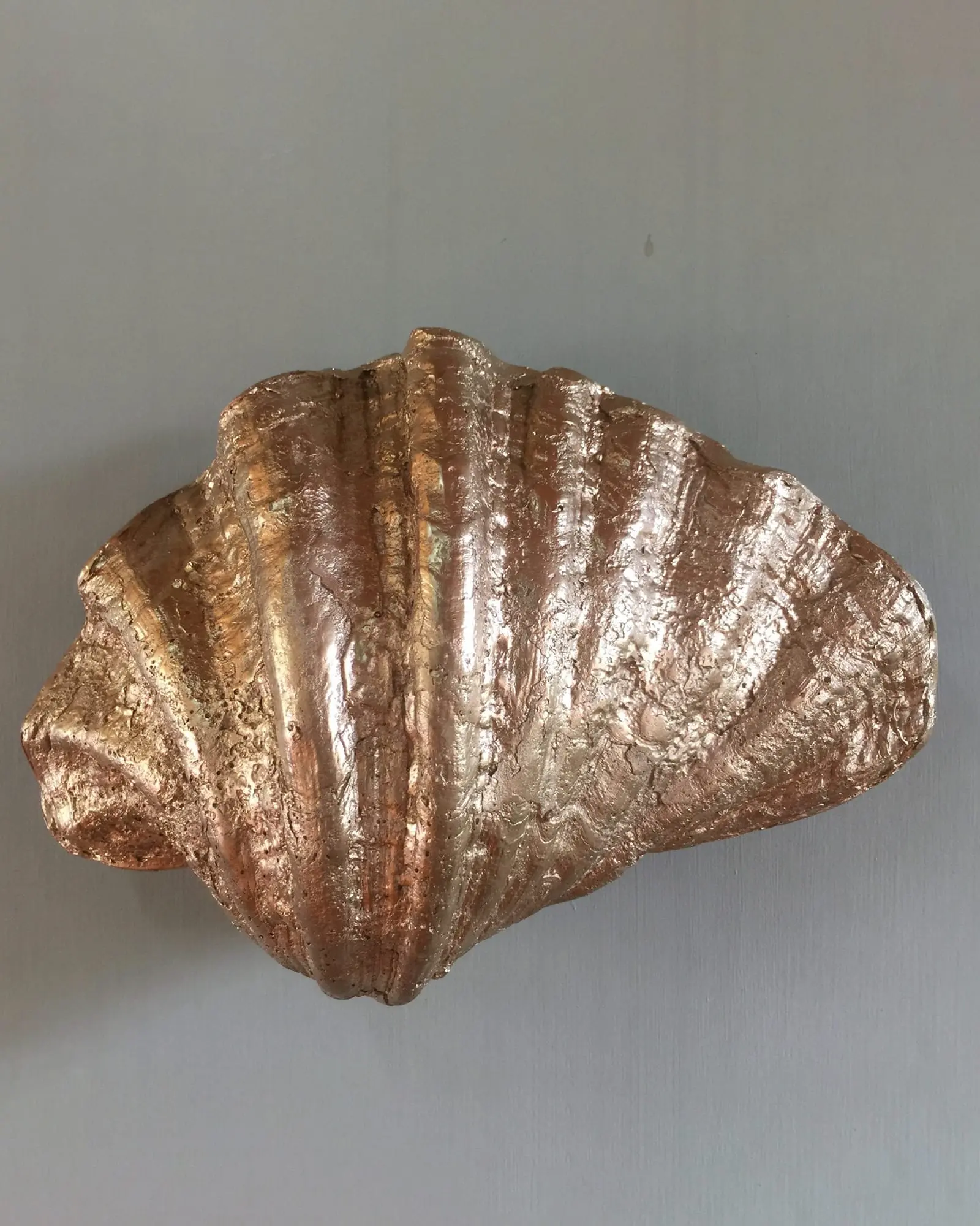 Fluted Shell Wall Light - Image 4