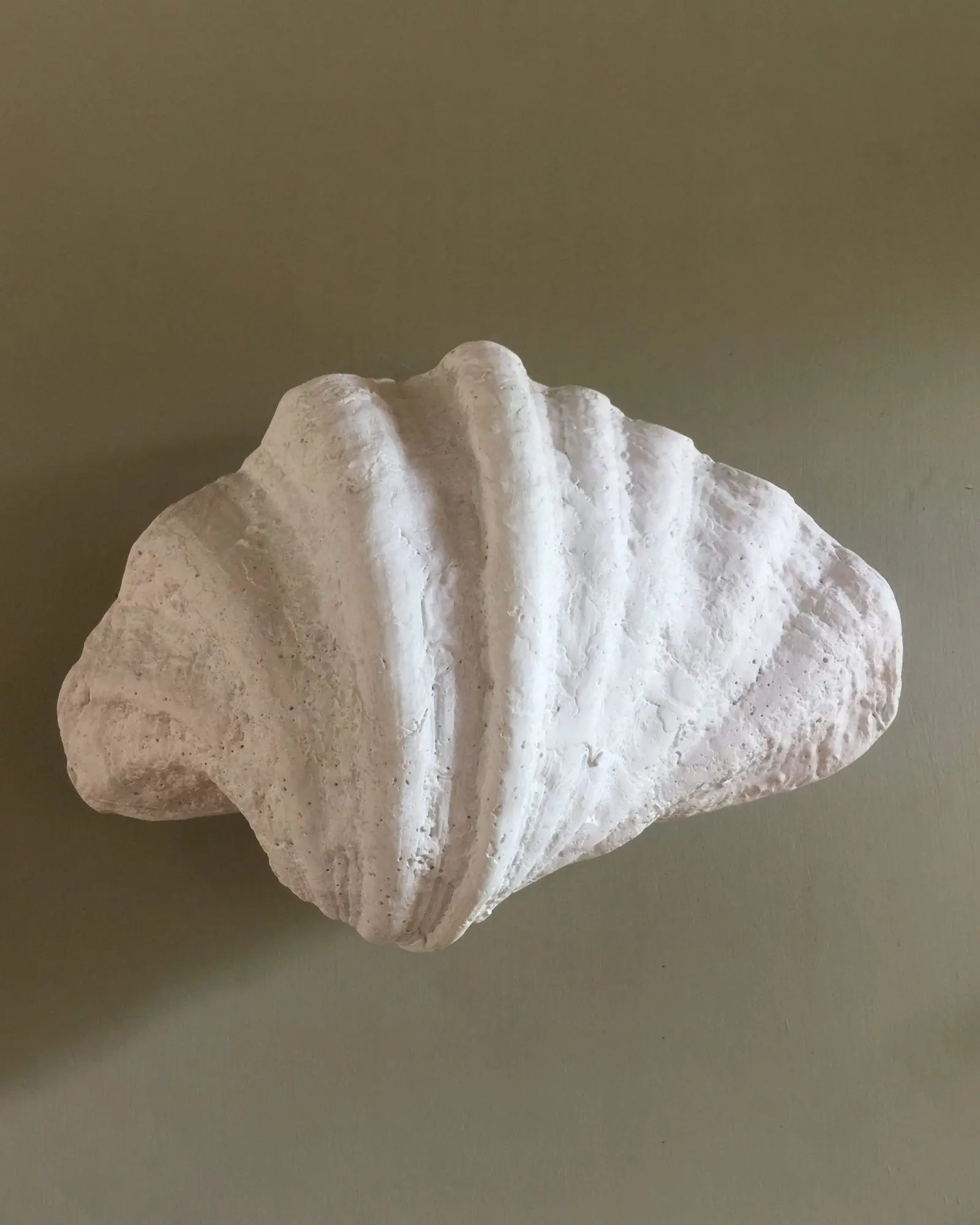 Fluted Shell Wall Light - Image 5