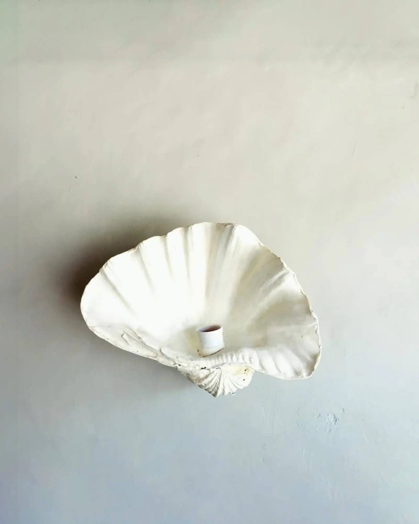 Fluted Shell Wall Light - Image 7