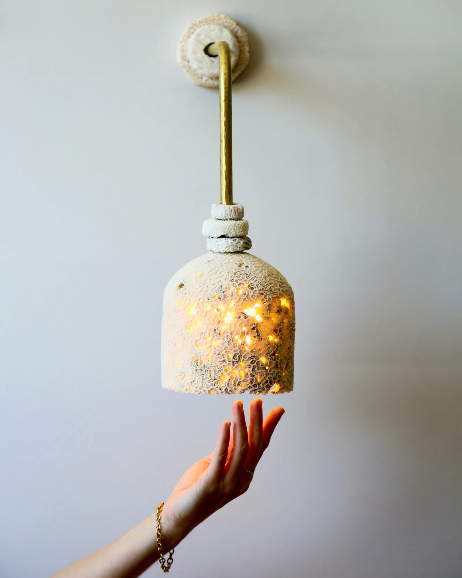Fossil Coral Arc Dome Wall Light - Image 2