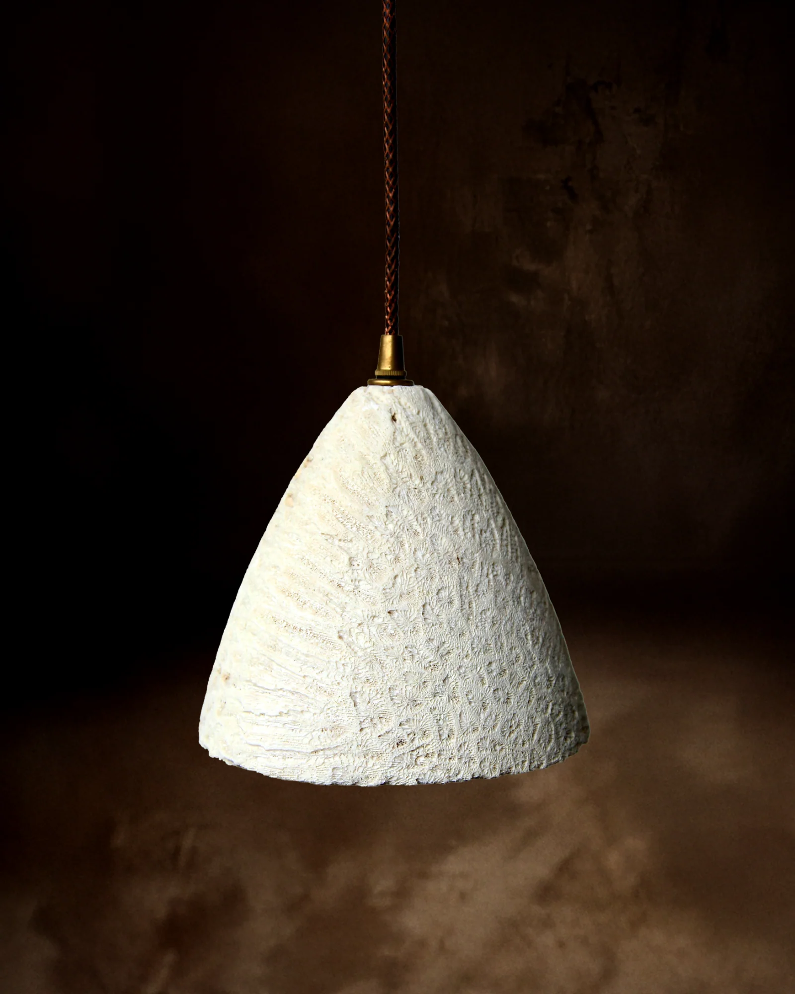 Fossil Coral Cone Pendant Light - Image 11