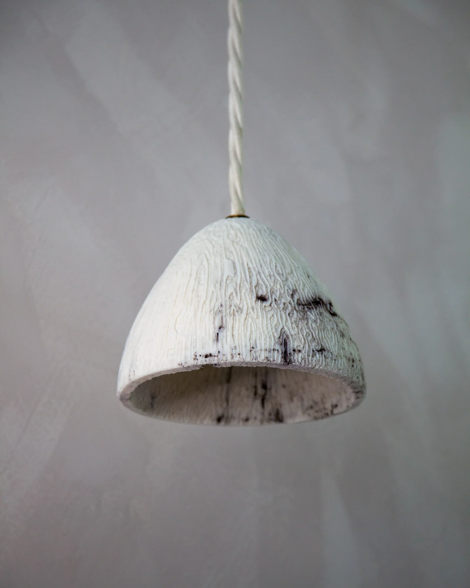 Fossil Coral Cone Pendant Light - Image 12