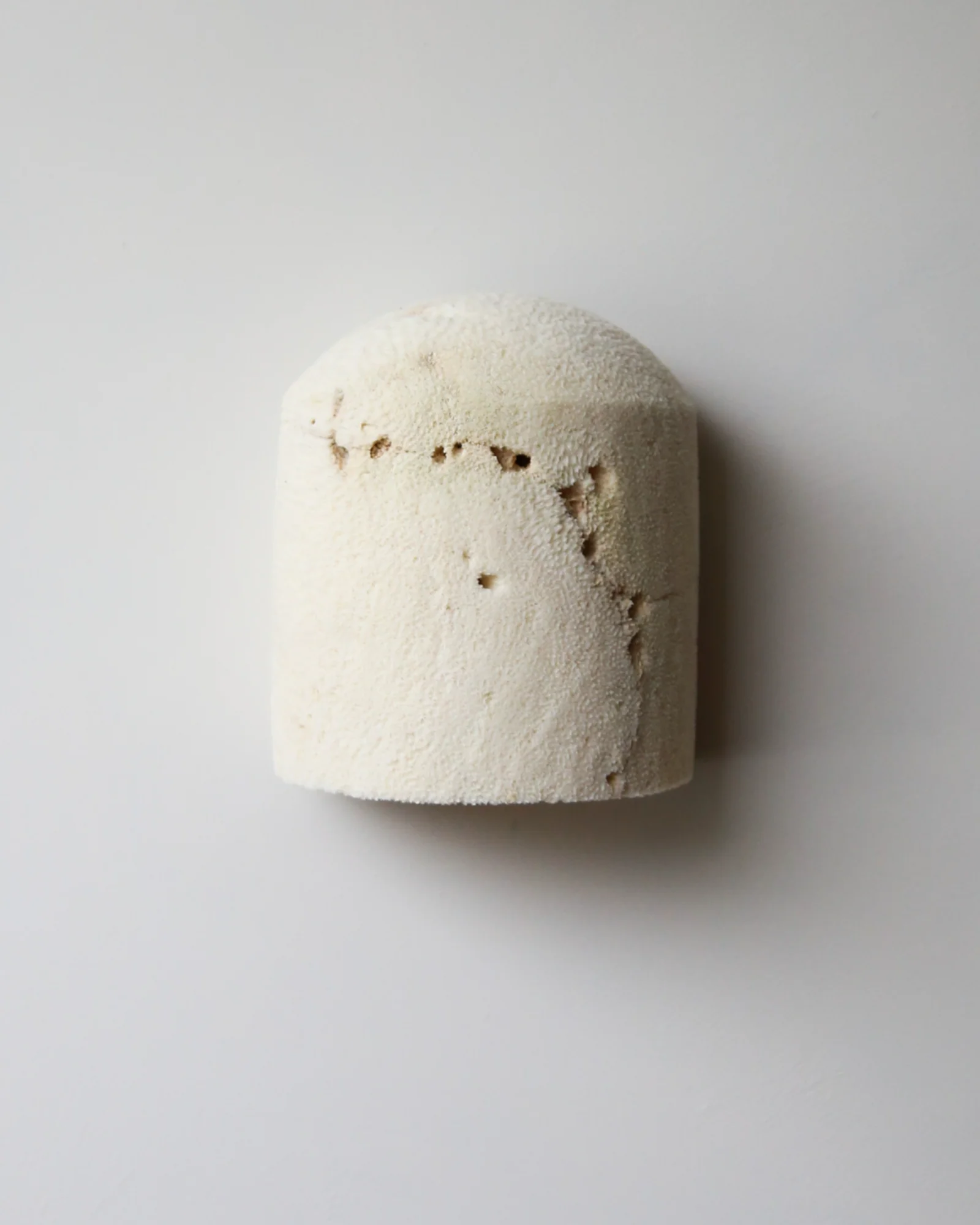Fossil Coral Dome Flush Wall Light - Image 6