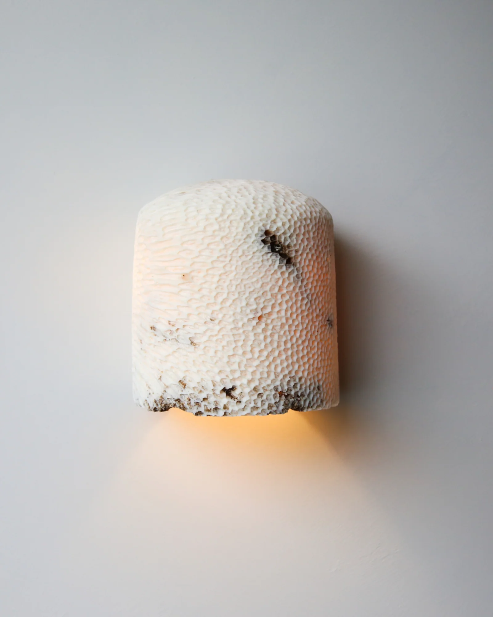 Fossil Coral Dome Flush Wall Light - Image 9