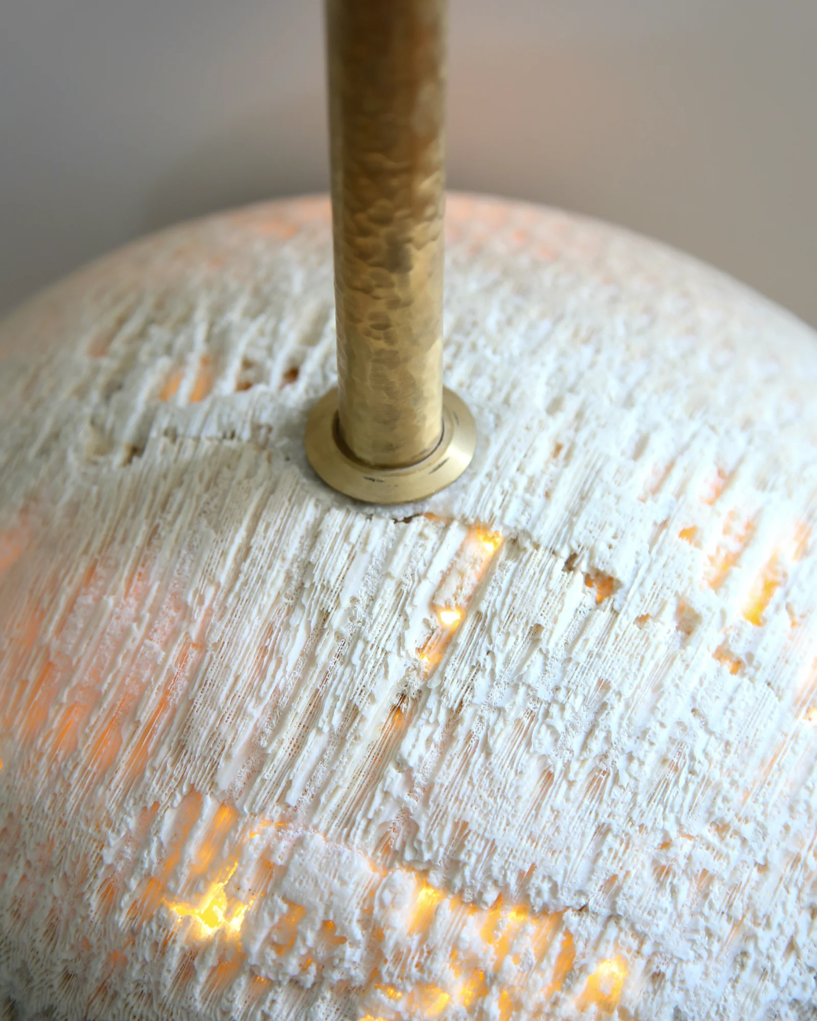 Fossil Coral Pearl Pendant Light - Image 6