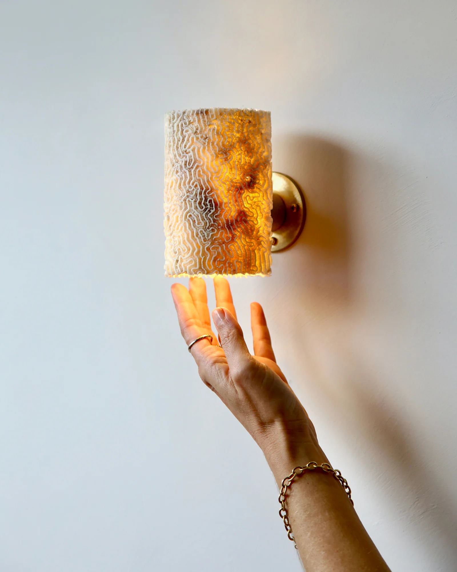 Fossil Coral Tube Wall Light - Image 2