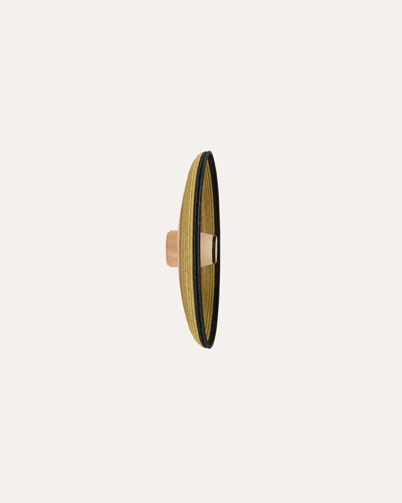 Grass Wall Light - Image 9