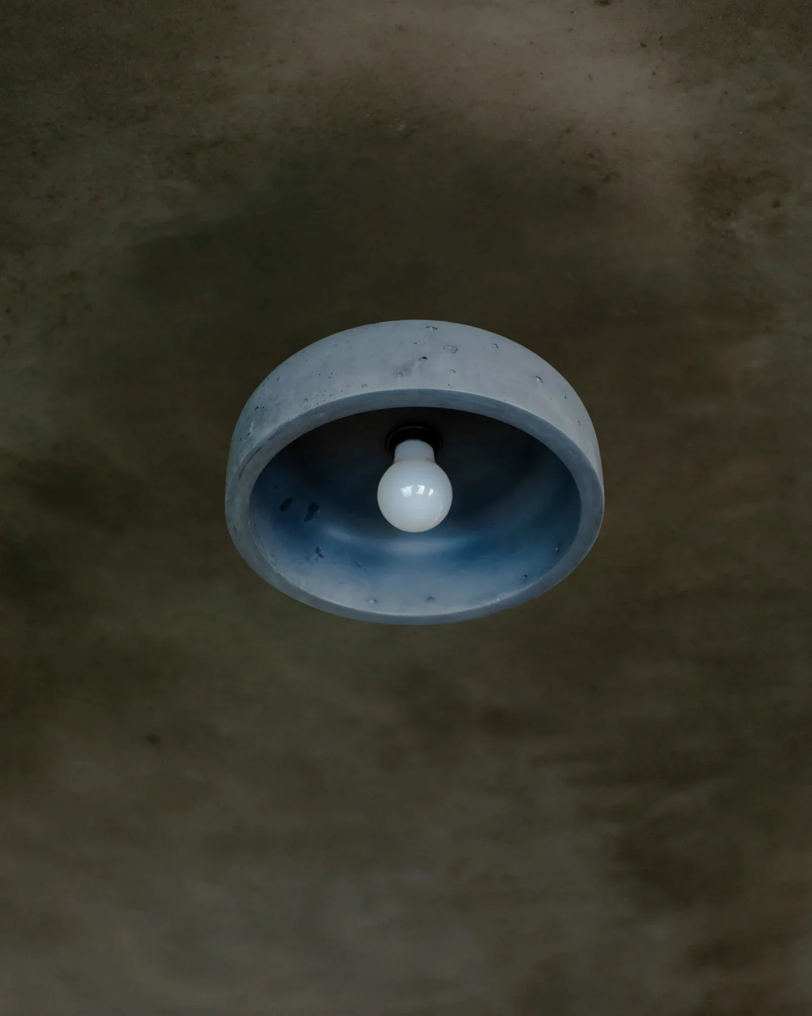 Hakea Ceiling Light