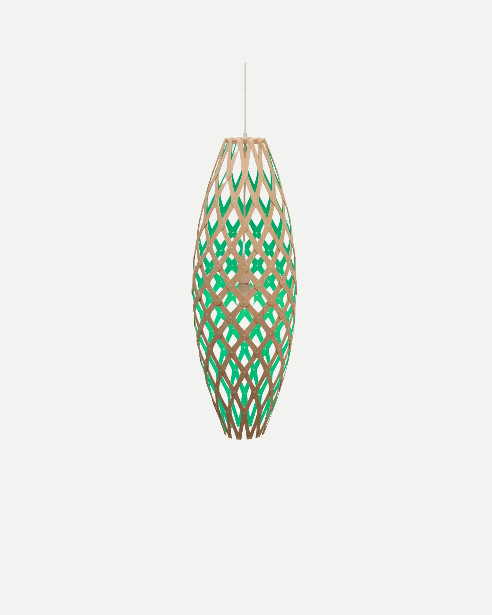 Hinaki Pendant Light - Image 23