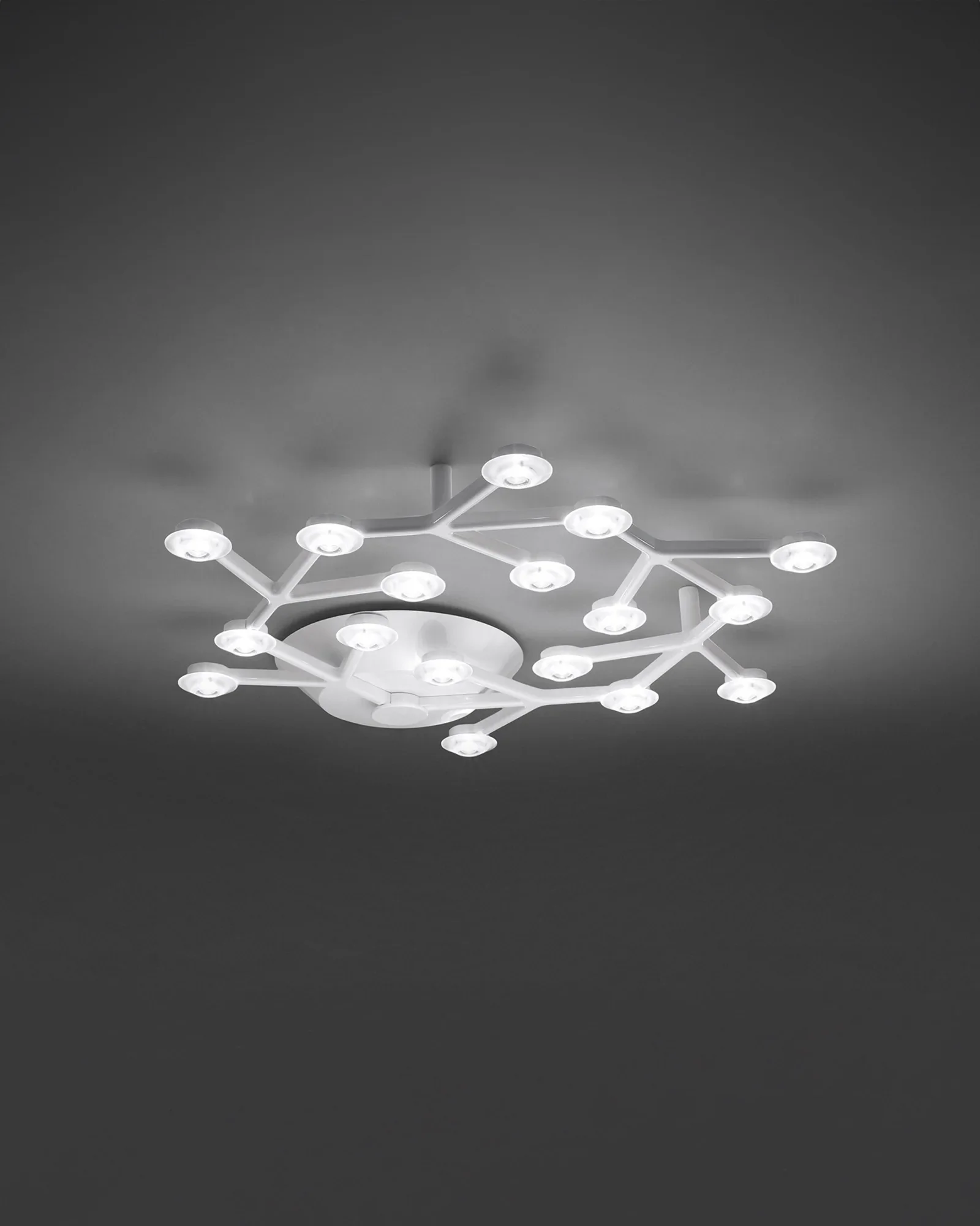 Led Net Circle Ceiling Light