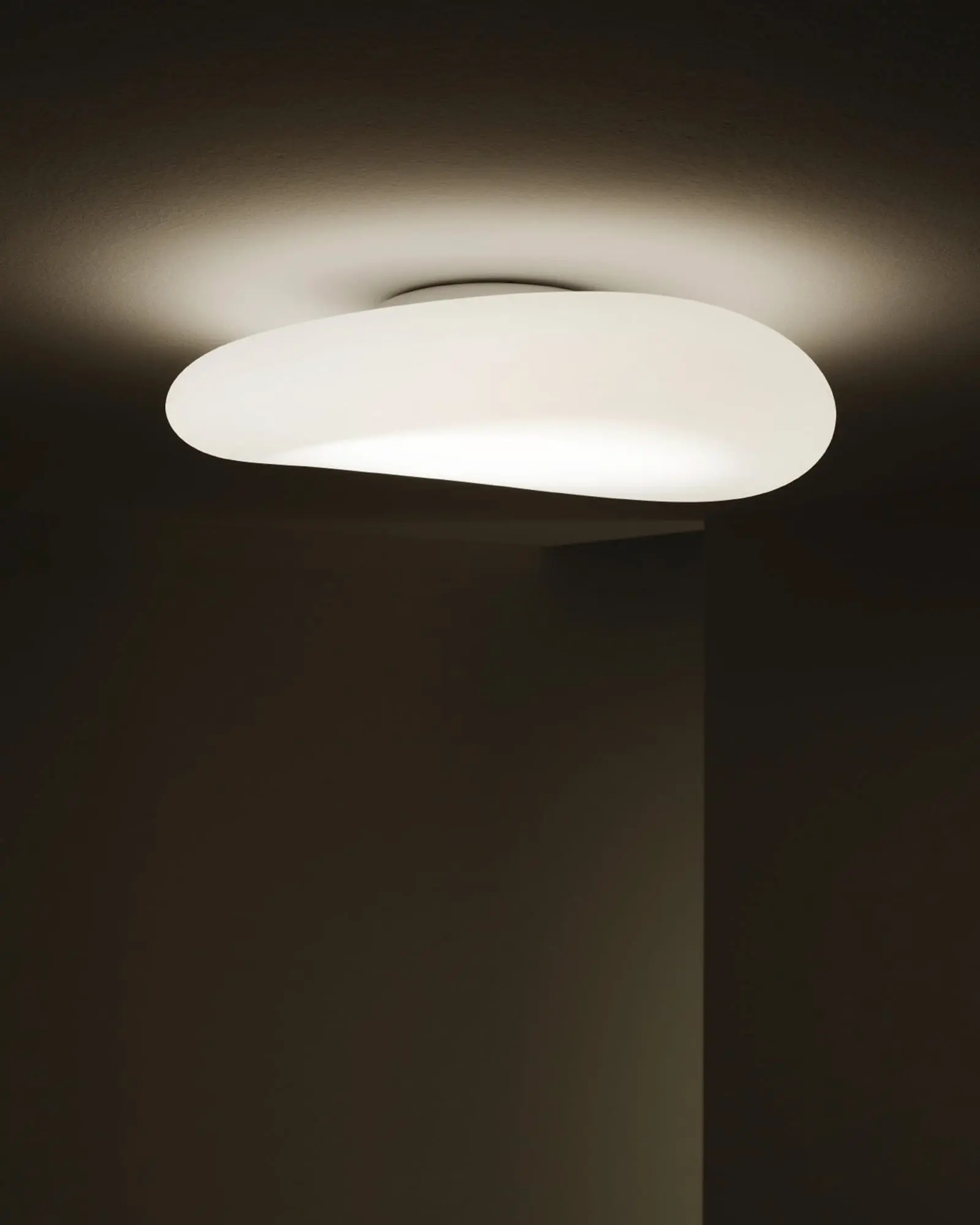 Mr Magoo Ceiling Light - Image 2