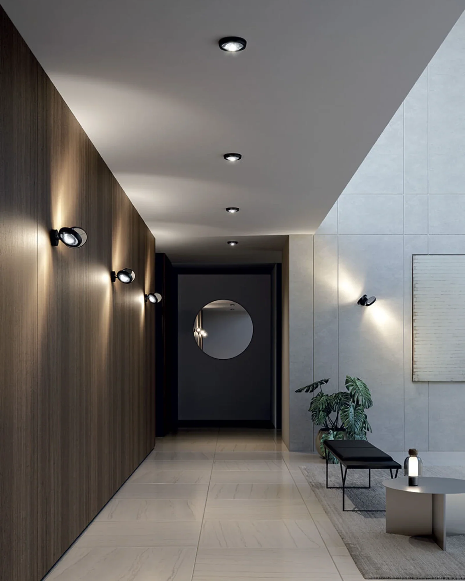Nautilus Wall Light - Image 5