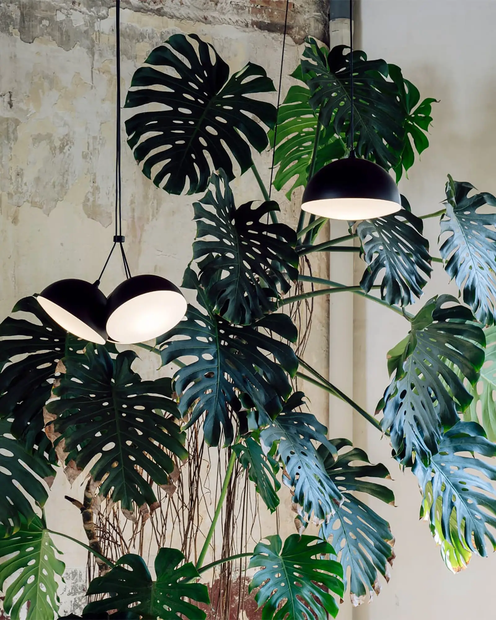 Nod Pendant Light - Image 6