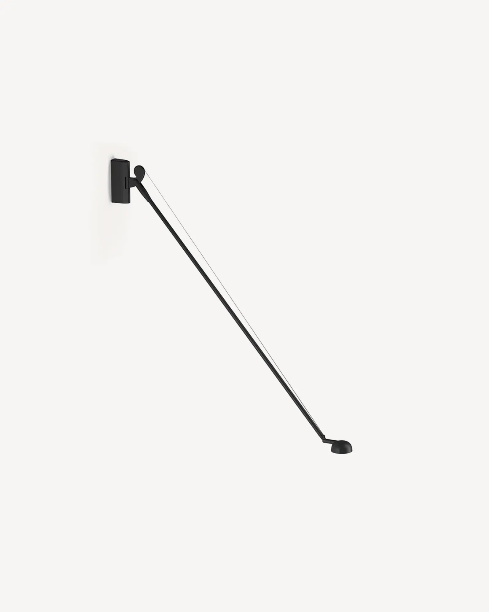 Opuntia Wall Light - Image 2