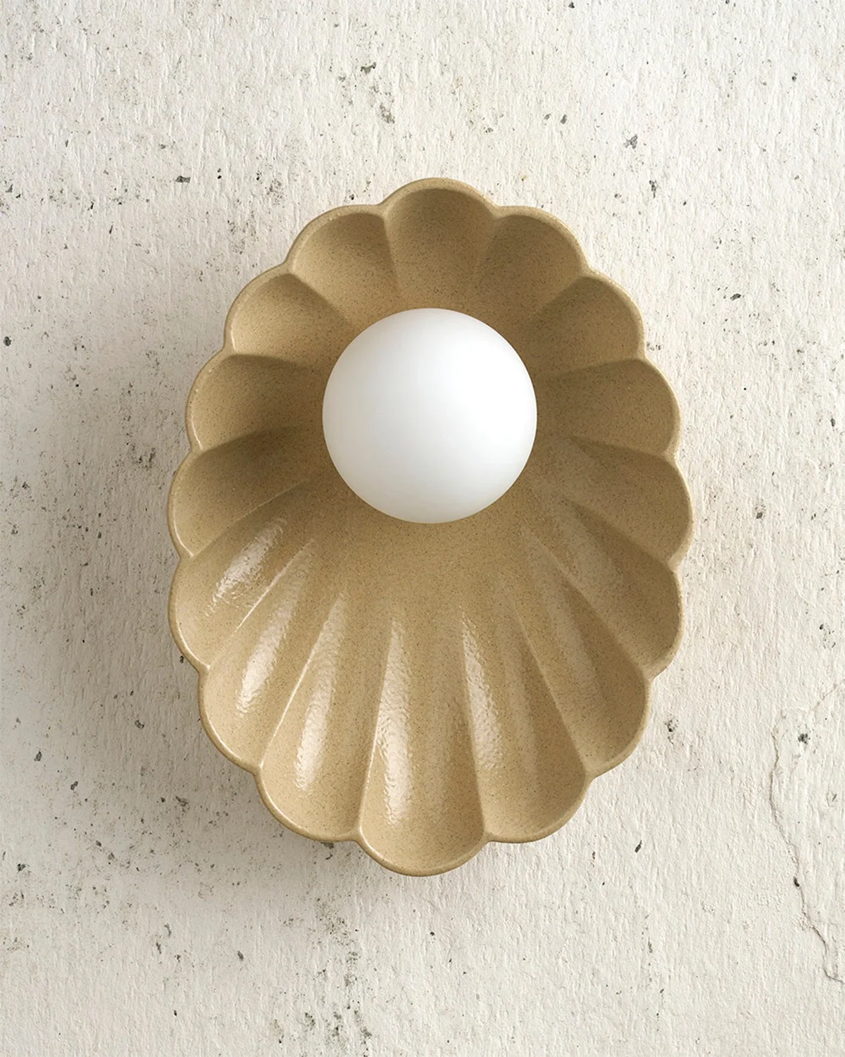 Oyster Wall Light - Image 17