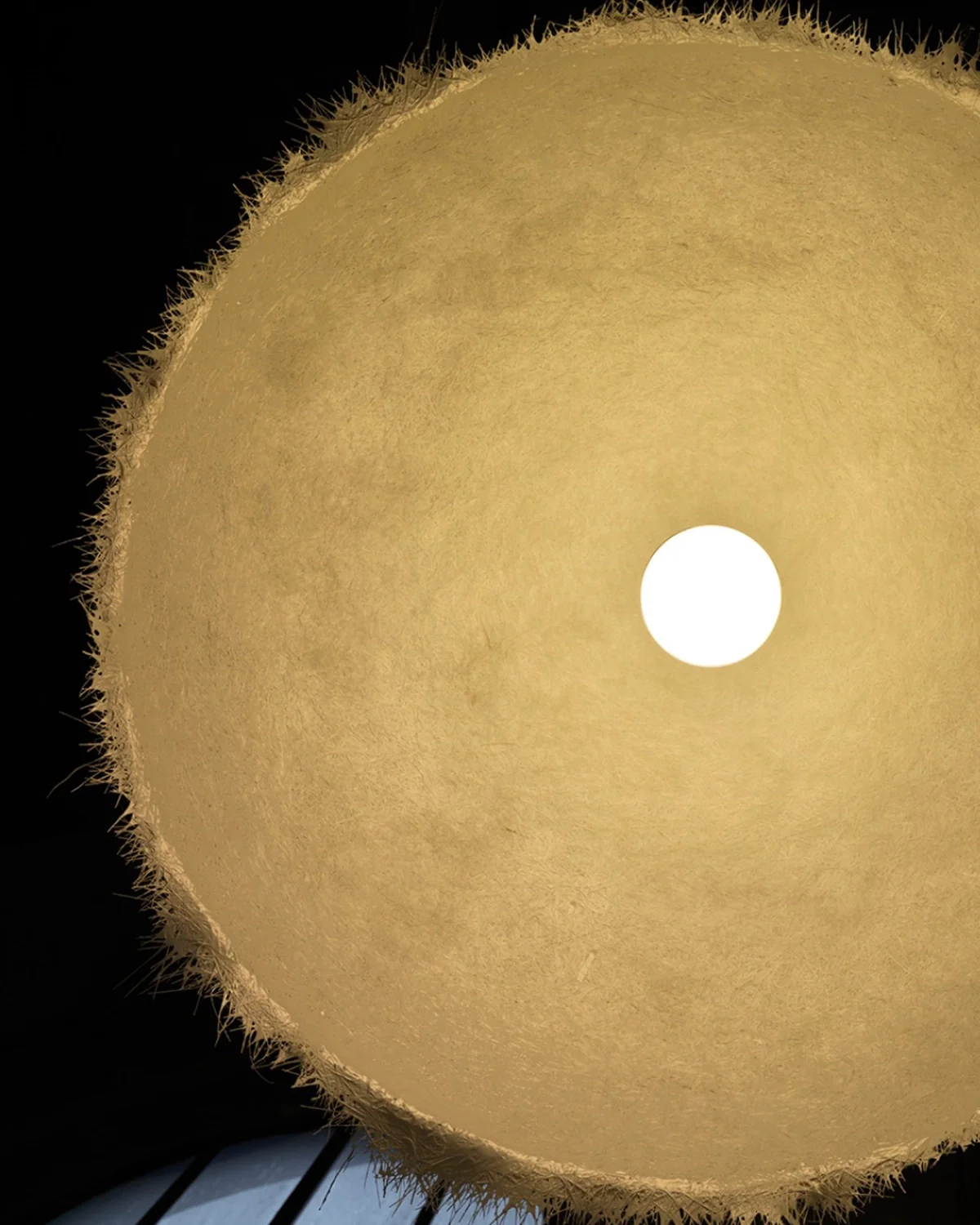 Plancton Pendant Light - Image 3