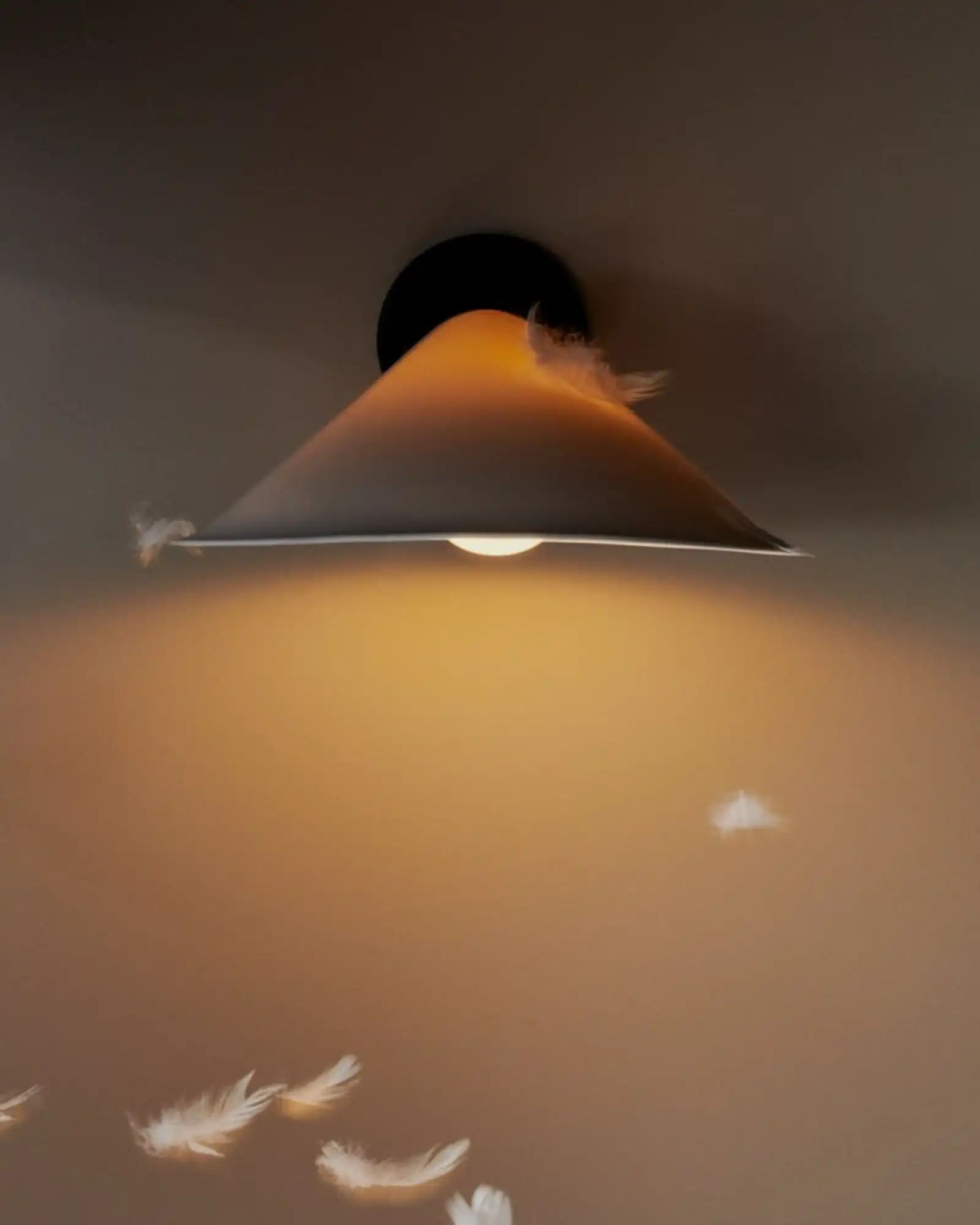 Plume Wall Light - Image 2