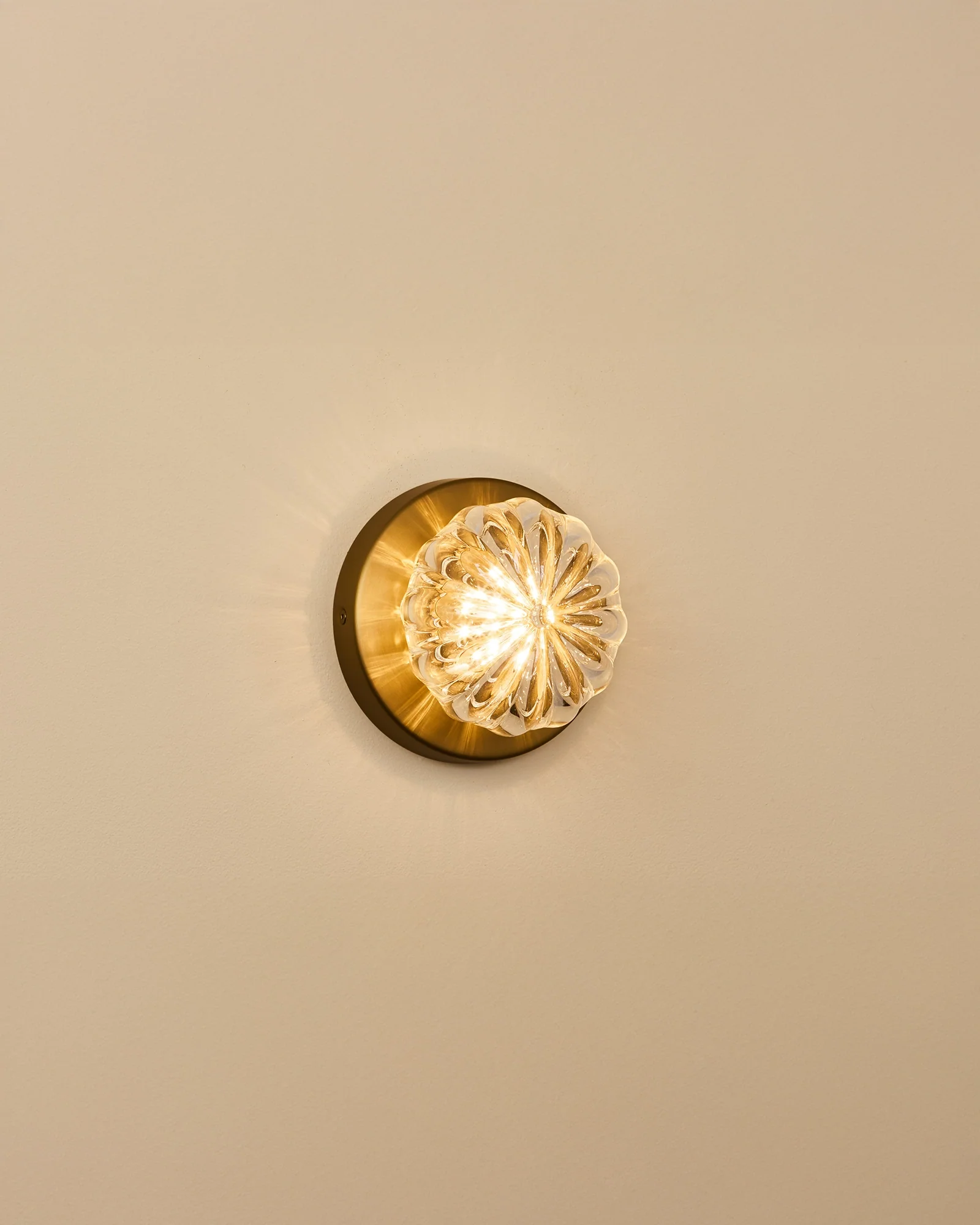 Urchin Wall Light - Image 24