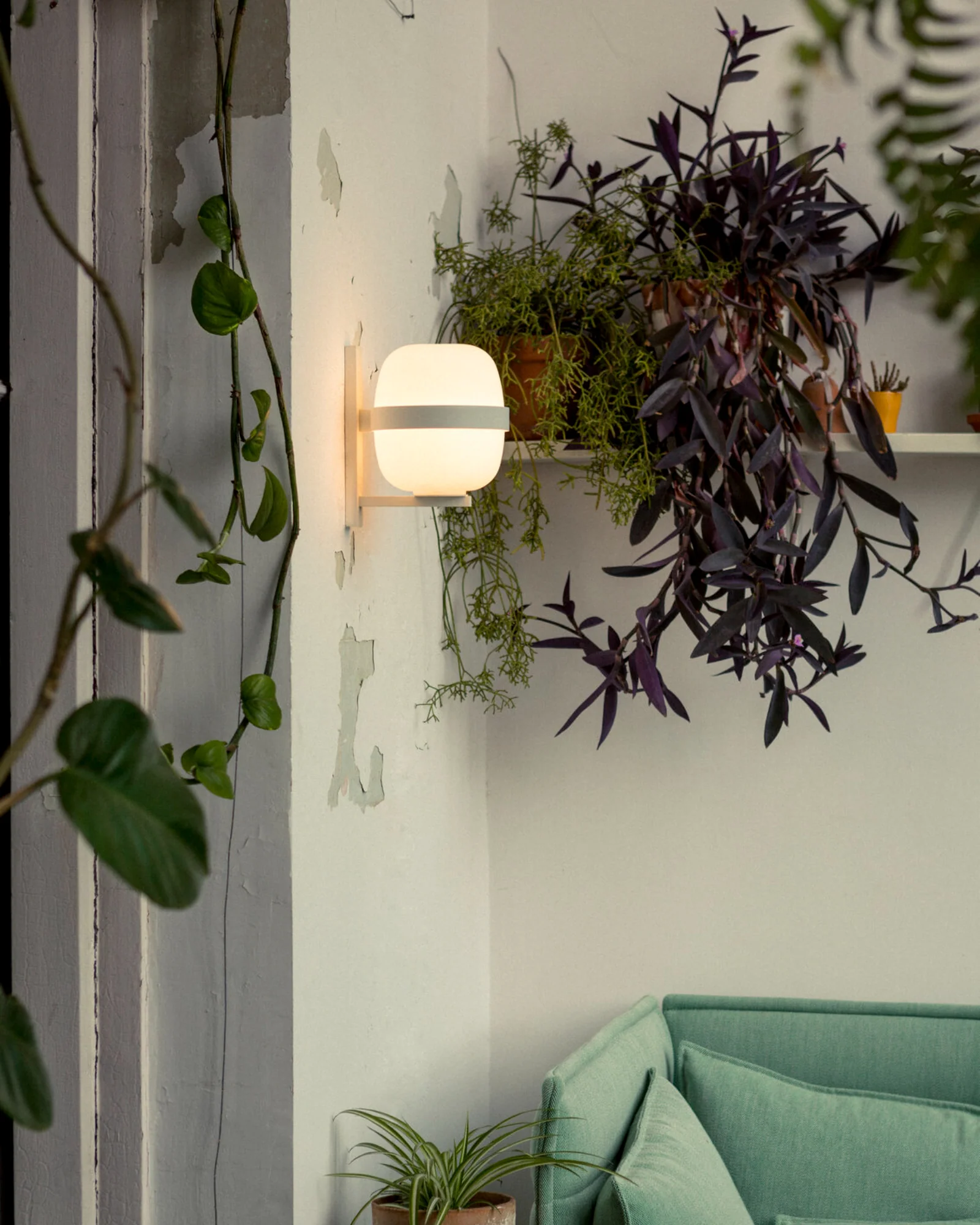 Wally Cestita Wall Light - Image 5