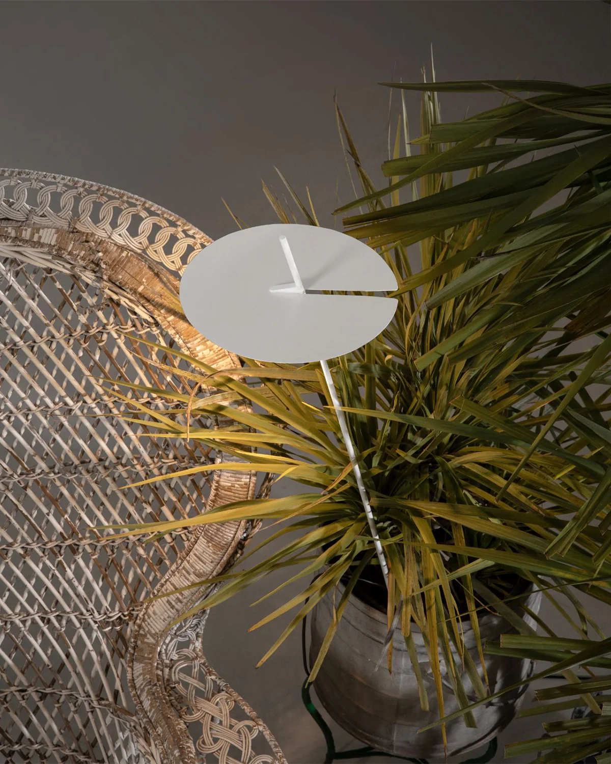 Xana Spike Light - Image 2